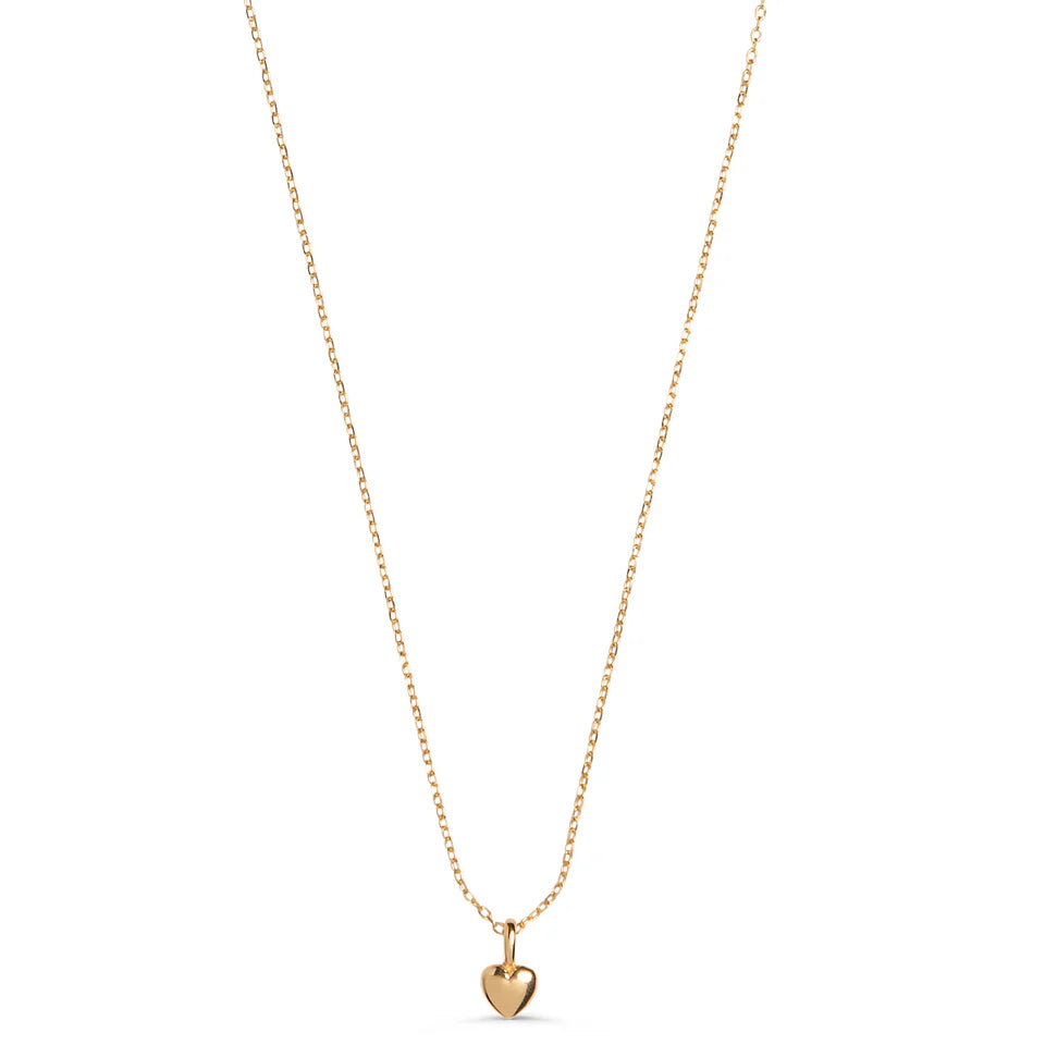 Amore Gold Plated Heart Necklace