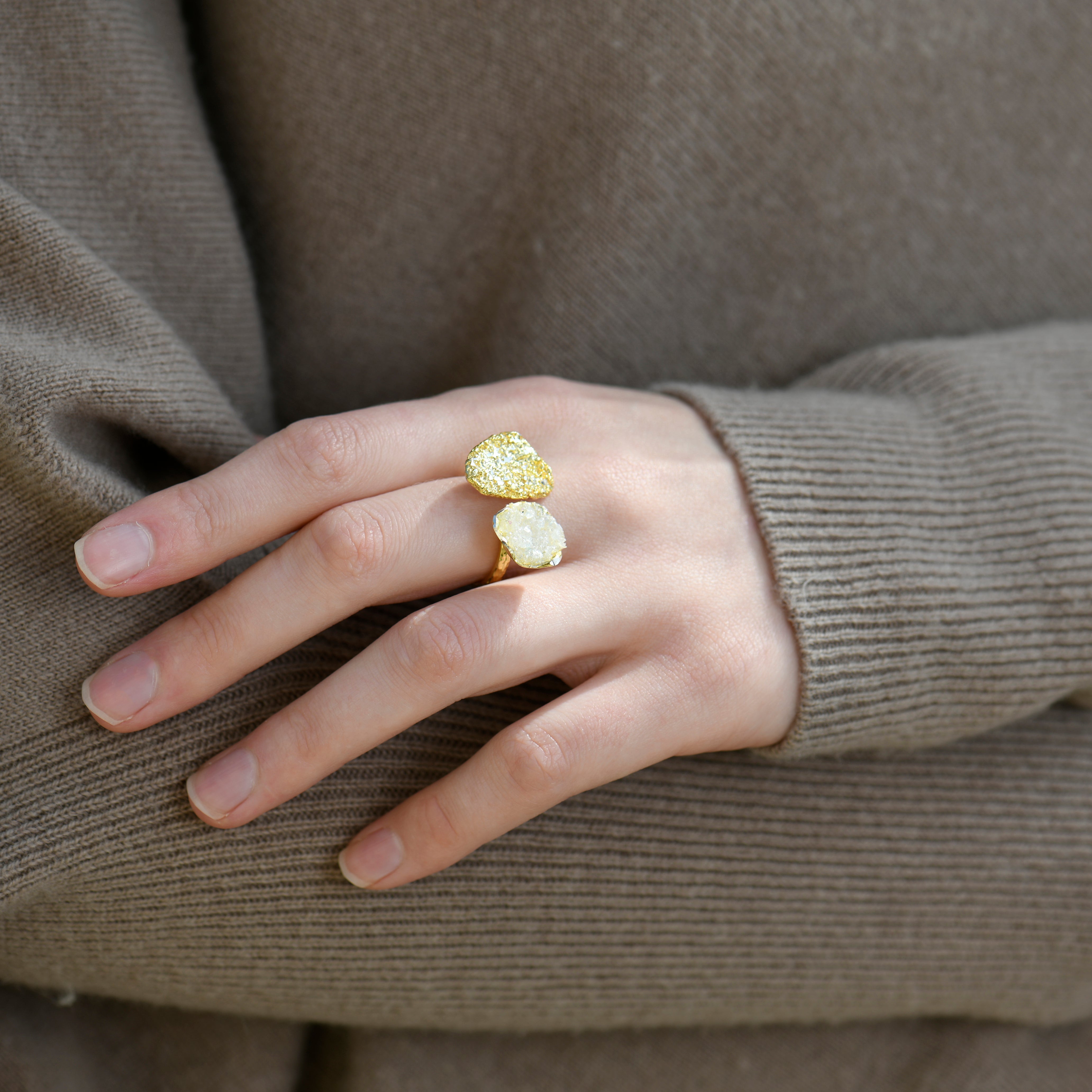 Twin Irregular Disks Ring