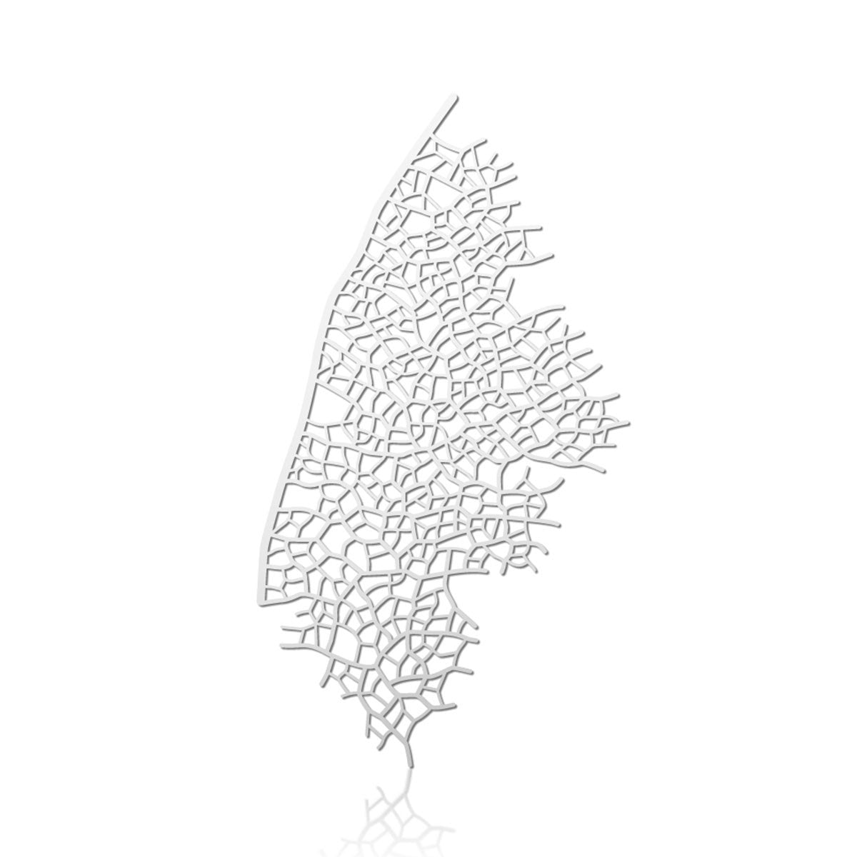 Moorigin_brooch_magnetic_skeleton_leaf_thin_silver_PVD_plating_stainless_steel_made_in_Taiwan_nature_inspired_jewellery